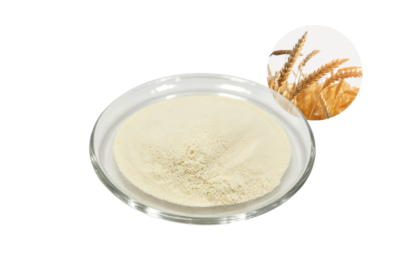 Wheat Oligopeptide
